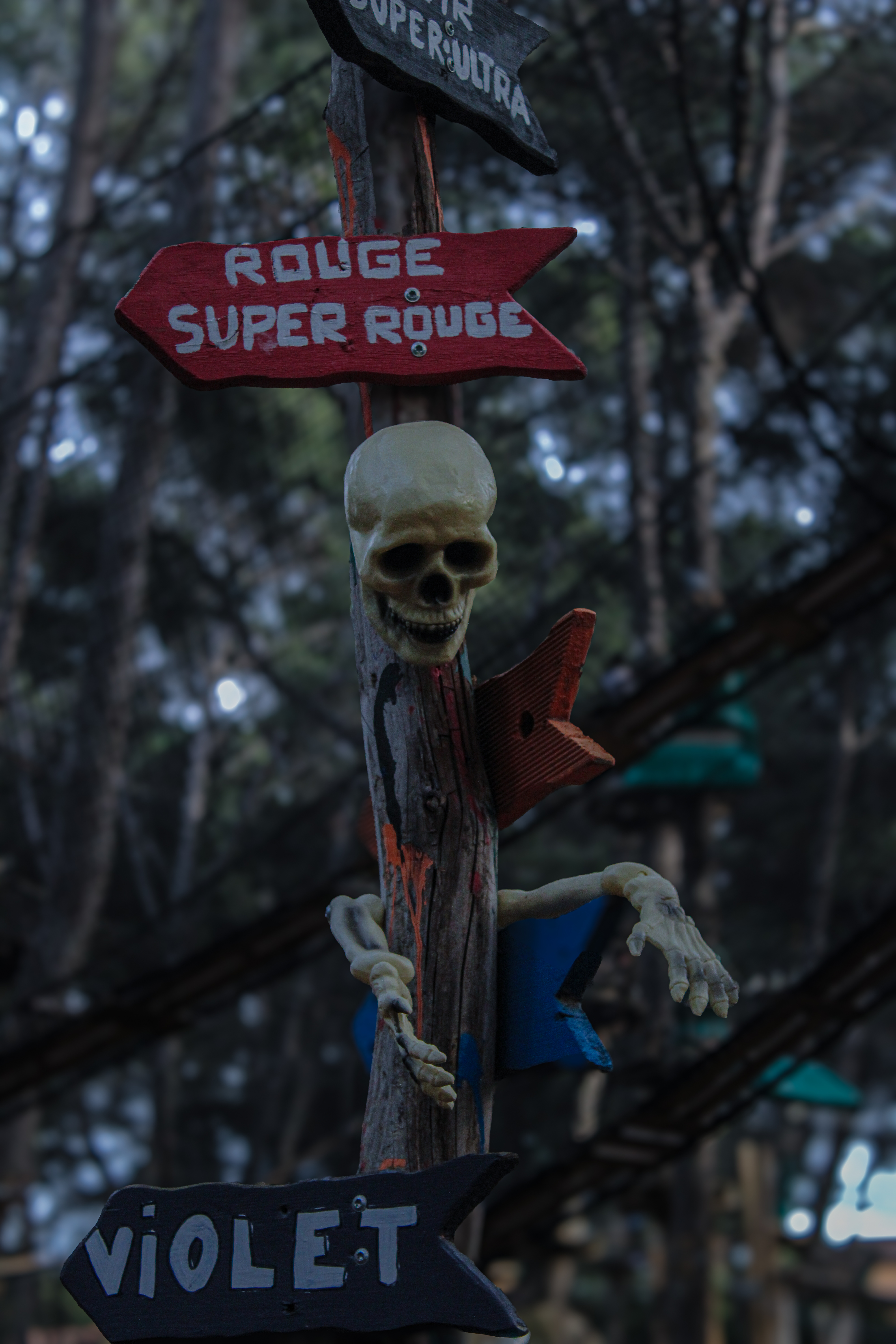 Animation stand photographie Coudou Parc - photo 4